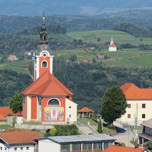 Proslava župne svetkovine sv. Lovre u Vivodini
